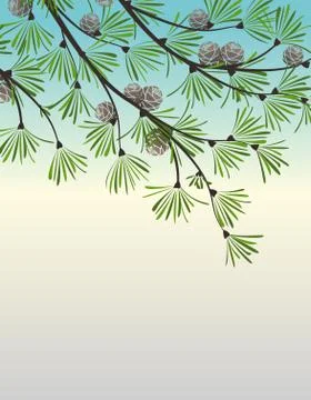 Decoration of pine branches Illustrazione stock