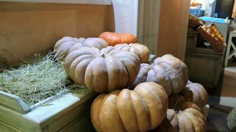 Decoration of pumpkins 스톡 동영상 69768607
