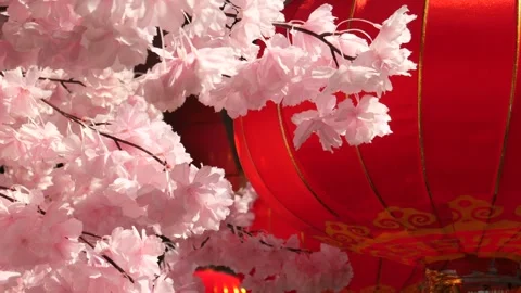 Decoration of Red lanterns during Lunar New Year Stock Footage 278143146