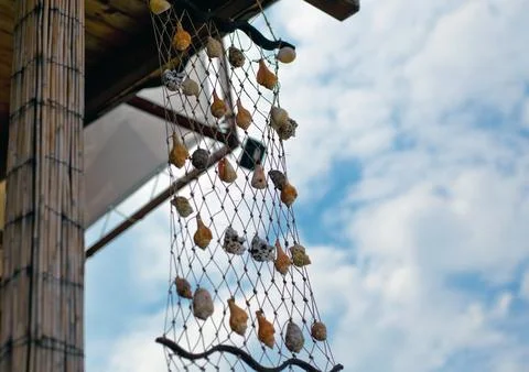 Decoration shell net 库存照片