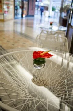 Decoration on the table Stock Photos