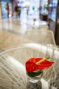 Decoration on the table Stock Photos