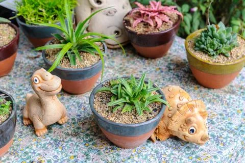 Decoration tree Stock Photos