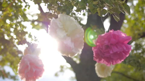 Decoration in a tree swings in the wind Video stock 56143126