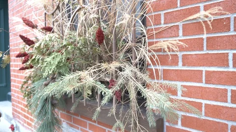 Decoration of trees and plants in front of a window 스톡 동영상 129192930