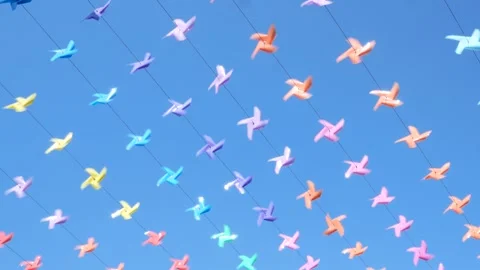 Decoration of the venue with small windmills of various colors during the New Ye Stock Footage 259927768