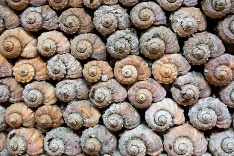 Decoration of wall Foto stock