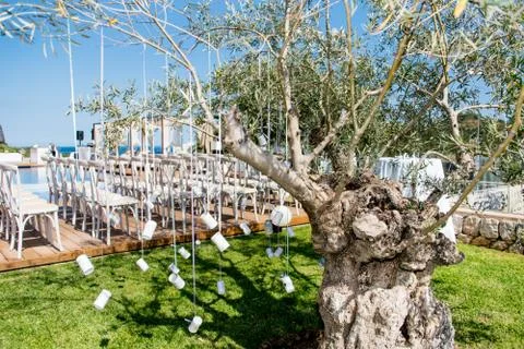 Decoration for a wedding with cans hanging on a tree Stock Photos