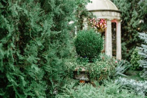 Decoration for the wedding Stock Photos