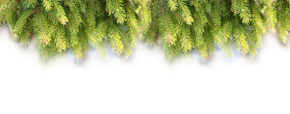 Decorations for christmas Illustrazione stock