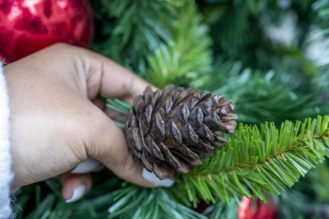 Decorations on a Christmas tree Stock Photos