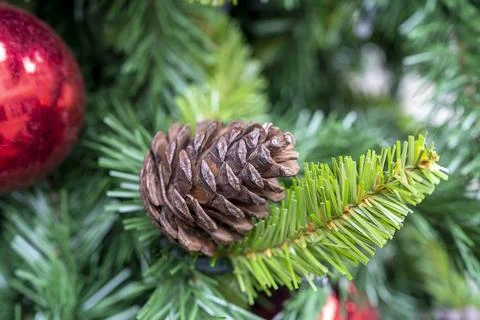 Decorations on a Christmas tree Stock Photos