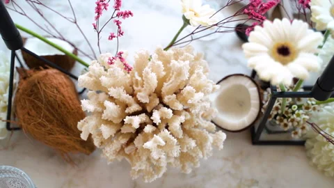 Decorations on the dinner table Stock-Footage 140517249