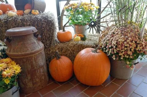 Decorations for Fall 스톡 사진