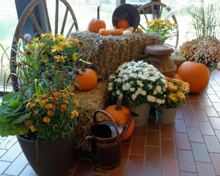 Decorations for Fall 写真素材