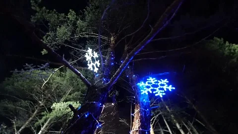 Decorations for the new year Stock Footage 100625046