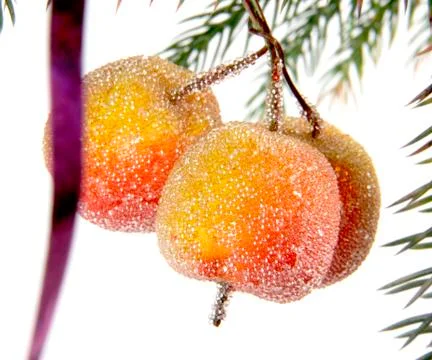 Decorative apples Stock Photos