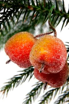 Decorative apples Stock Photos
