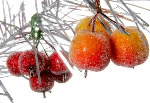 Decorative apples Stock Photos