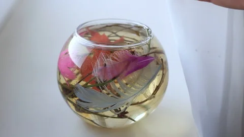 Decorative aquarium closeup with decor Stock Footage 95654020