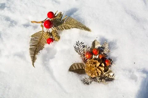 Decorative artificial branches is lying on the snow. Stock Photos