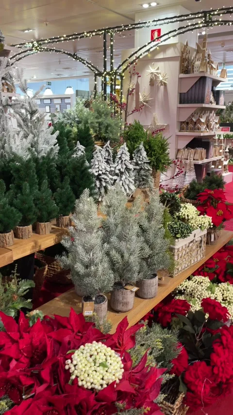 Decorative artificial christmas trees in the store Stock Footage 220749310