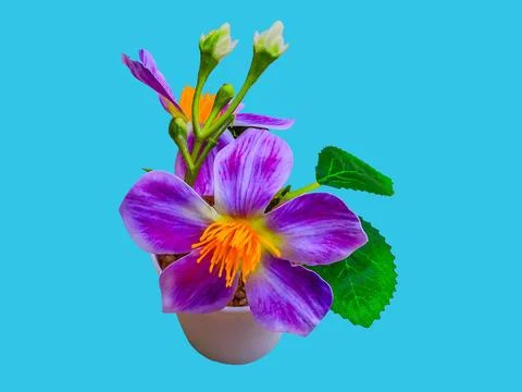 Decorative artificial flower tree isolated on blue background 스톡 사진