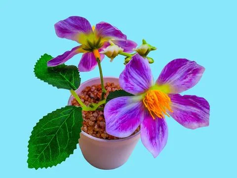 Decorative artificial flower tree isolated Stock-Fotos
