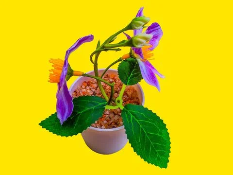 Decorative artificial flower tree isolated Stock-Fotos