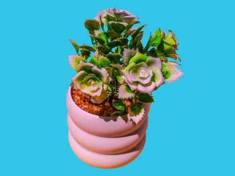 Decorative artificial flower tree isolated Stock Photos