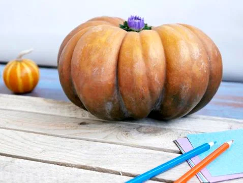 Decorative autumn composition of pumpkins Stock Photos