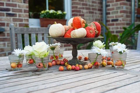 Decorative Autumn Table Setting with Pumpkins and Flowers Outdoors Stock Photos