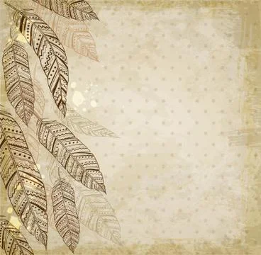 Decorative background with feathers Stock Illustration