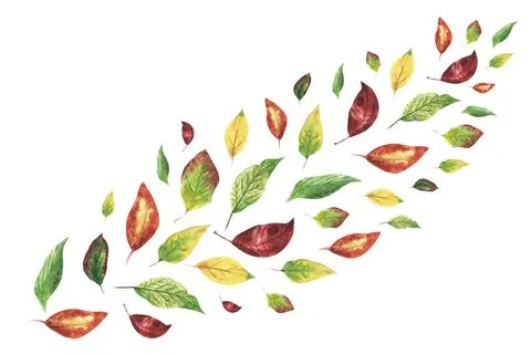 Decorative background. orange, red, yellow, green leaves. Diagonal composition Stock Illustration