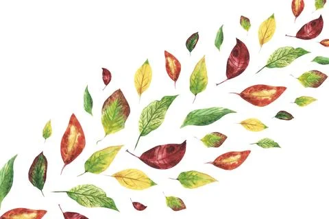 Decorative background. orange, red, yellow, green leaves. Diagonal composition Stock Illustration
