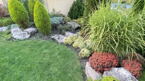 Decorative backyard garden ground Stock Footage 139341400