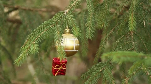 Decorative ball and red present hanging in christmas tree Stock Footage 44219566