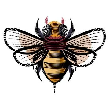Decorative bee painted with patterns for logo, label, packaging, tattoo Stock Illustration