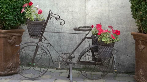 Decorative bicycle with flowers Stock Footage 114992498