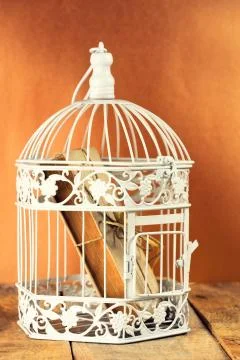 Decorative birdcage. Stock Photos