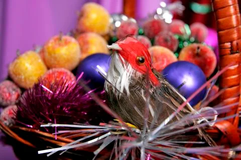 Decorative birdy Stock Photos