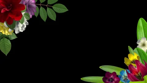 Decorative Blooming Flower Corner Elements Stock Footage 327980971