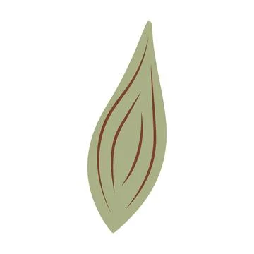 Decorative boho leaf. Abstract geometric element. Ethnic symbol. Stock Illustration
