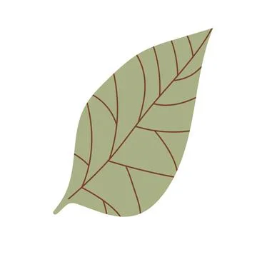 Decorative boho leaf. Abstract geometric element. Ethnic symbol. Stock Illustration
