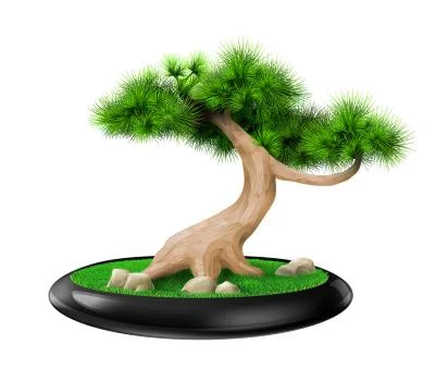 Decorative bonsai tree pine in pot Stock Illustration