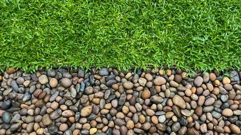 A decorative border between a green lawn and river pebbles in a modern landscape Фото