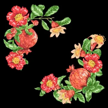 Decorative border for corner vector with pomegranate fruits and flowers Stock Illustration