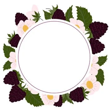 Decorative border featuring blackberries and flowers, perfect for invitatio.. Stock Illustration