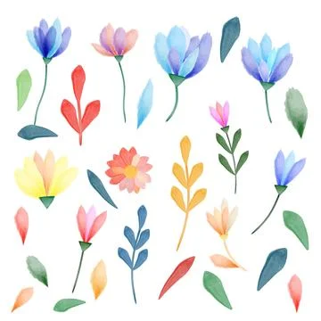 A decorative botanical flower set isolated on a white background Stock Illustration