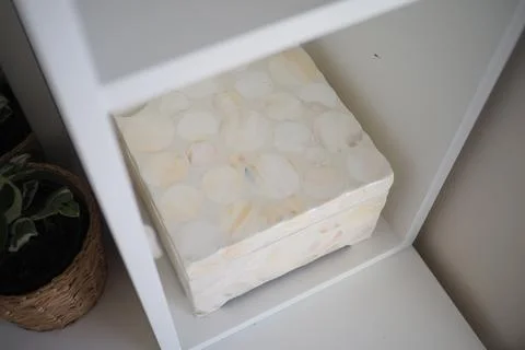 Decorative box placed on shelf with plants nearby Stock Photos